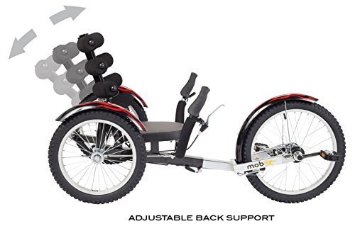 Mobo Cruiser Shift 3-Wheel Recumbent Bicycle Trike. Reversible Adult Tricycle Bike, Black, 20-Inch #TOP2