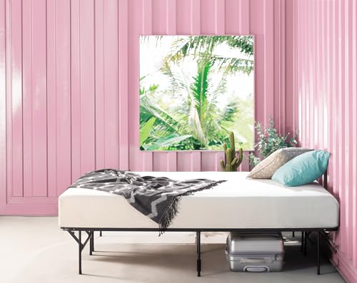 Amazon.co.jp: Zinus(ジヌス): クイーン