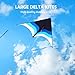 SYNCFUN Large Delta Kite Gradient Blue– Easy to Fly for Kids and Adults, Beach Kite with 328 ft String for Outdoor Games and Activities