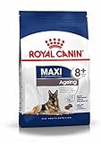 royal canin senior katze Royal Canin Size Maxi Ageing 8+ 15kg