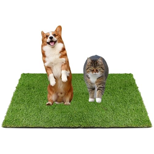 Kunstrasen Hundeklo Balkon Hundetoilette Ersetzen Rasen Welpentoilette Wiederverwendbar Training Pee Pads für Kleine Grosser ältere Hunde für Ältere, Kleine, Grosse Hunde+1 × Schwarze Faltschale