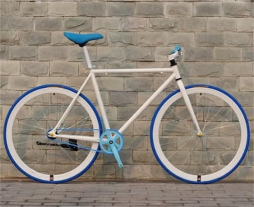 シングルスピード バイク」の人気商品一覧 | 安い商品を通販サイトから