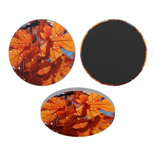 Magneti da frigorifero impermeabili piccoli magneti forti per frigorifero autunno foglie d'acero magneti da frigorifero accessori da cucina simpatici magneti decorativi per lavagna bianca armadio