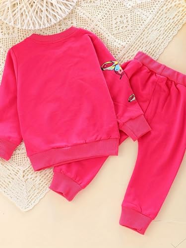 Image of Spring Fall Baby Girls Clothes 2pcs Casual Wear sets