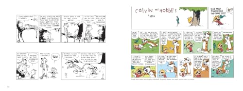 Image of The Calvin and Hobbes Tenth Anniversary Book