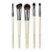 EcoTools 6 Piece Essential Eye Brush Set, Includes: Large Shadow, Angled Crease, Petite Eye Shading, Liner Smudge and Eye Liner Brushes, and Cosmetic Bag, Cruelty Free