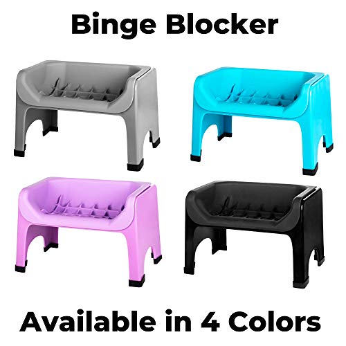 13 Best Vet Elevated Dog Bowls in 2022