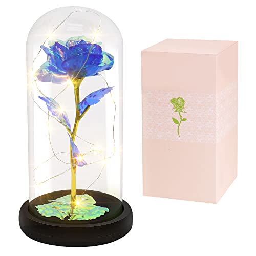Remon 24K Gold Foil Blue Forever Rose for Her, Artificial Flower Galaxy Rose in Glass Dome with Warm White Led String Light, Women Gifts for Mother's Day Birthday Anniversary