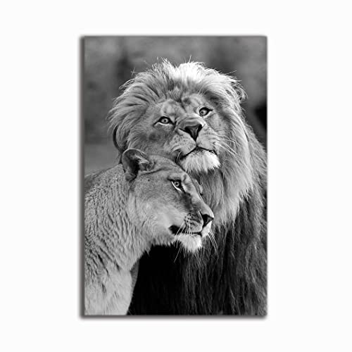 Poster Lions In Love noir et blanc 100x160cm grand format moderne pour salon