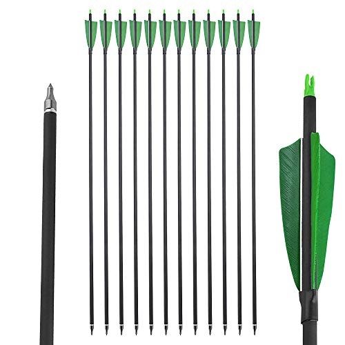 SHARROW 6/12pcs Archery 30inch Hunting Arrows Spine 500 Carbon Arrows Practice Targeting Arrows with Removable Tips for Compound Bow Recurve Bow and Longbow (Green, 12pcs)