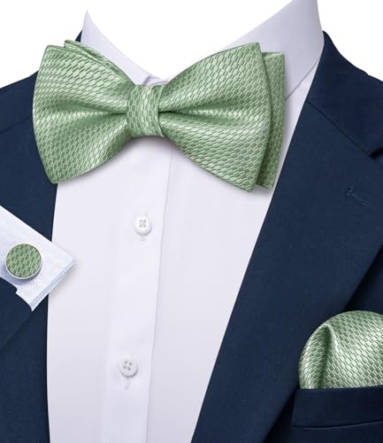 Image of Barry.Wang Paisley Striped Bow Tie for Men Silk Pre-Tied Bowtie Set