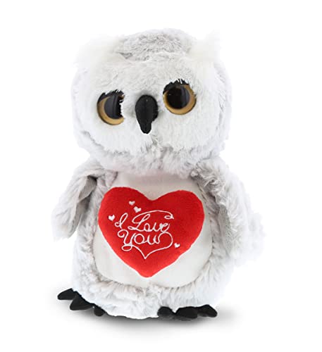 DolliBu Big Eye Owl Bird Stuffed Animal with I Love You Plush - 9 Inches