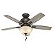 Hunter Indoor Ceiling Fan with light and pull chain control - Donegan 44 inch, Onyx Bengal, 52225