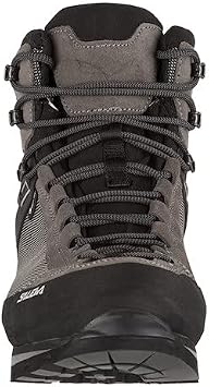 Salewa Men's Ms Crow GTX Trekking & Hiking Boots