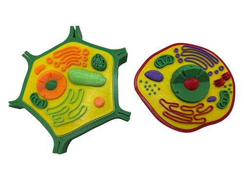 3D Printed Plant and Animal Cell Models, Educational STEM Learning Kit
