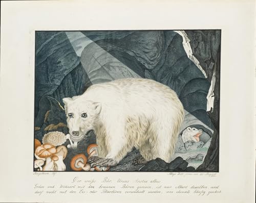 PMEFGJDPE De Célèbres Tableaux Tableaux Posters Murale Tableaux l'ours blanc d'Aloys Zötl Art Mural Cassique Pour les Décorations pour la Maison 60x90cm