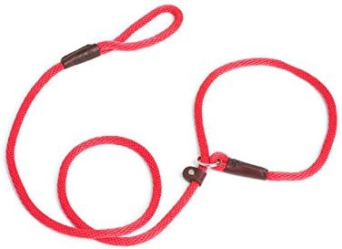 Rover on Main Slip Lead Dog Leash Pet Supplies for Dogs- 6ft Climbing Rope Slip Leash Dog Leash and Collar with Adjustable Collar for…