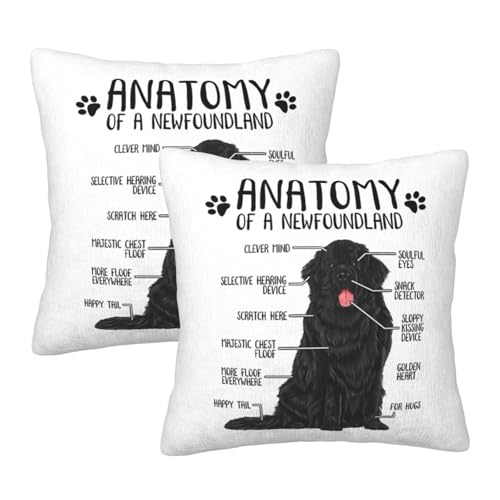 Wynrib j[t@hh̉U} X[s[ Jo[ 2Zbg vbV Jo[  BWbp[ \tg XNGA NbV Jo[ z[ JE` \t@[ peBI Qp JE`Ɂi16"x16" j