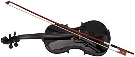 Teekland 4/4 Size Acoustic Violin for Beginner with Fiddle Case/Bow/Rosin (Black)