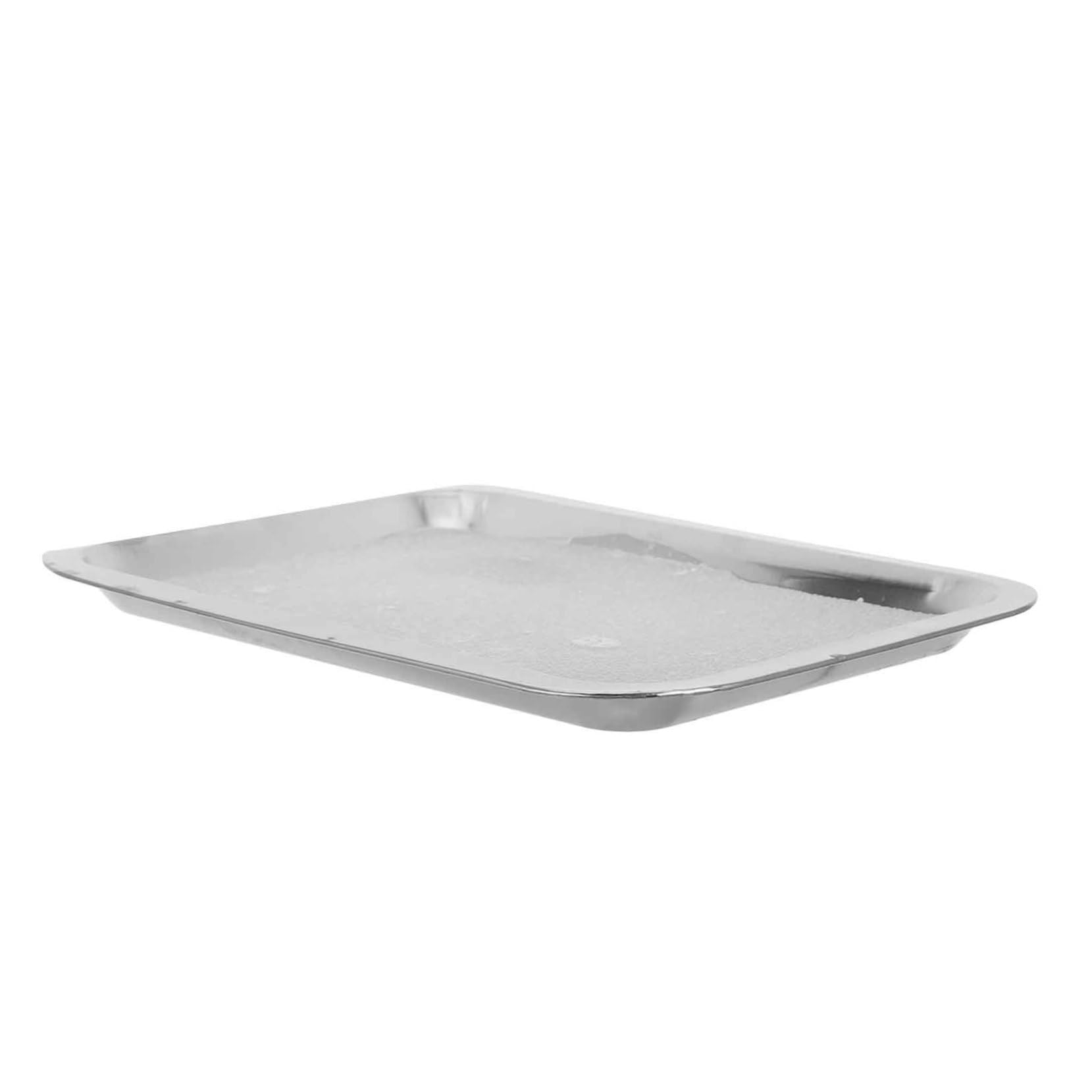 Stainless Steel Dissection Tray 19x26cm Lab Equipment Instrument Tray for Biology Students