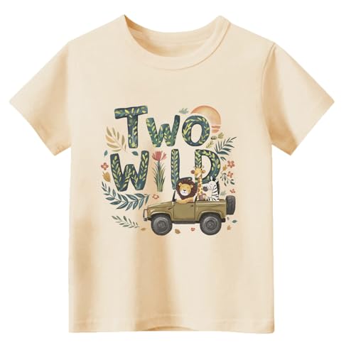 Image of Toddler Boys Girls 2nd Birthday Shirt Outfit for Kids Two Years Old Birthday Gift for Party Short Sleeve Tshirt