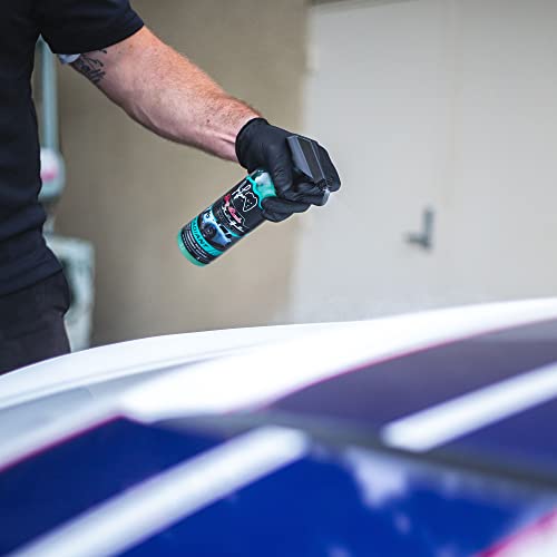 Jay Leno's Garage Radiant Ceramic Coating #TOP3