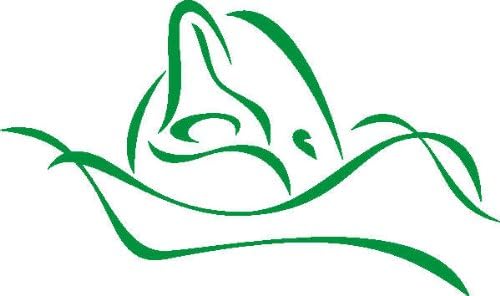 Indigos 4051095772064 Childrens Wall Stickers - D243 Beautiful Dolphin Tribal, Vinyl, Green, 96 x 56 x 1 cm