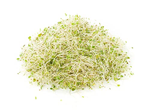 Todd'S Seeds Todd’S Seeds - Alfalfa Sprouting Seeds thumb #2
