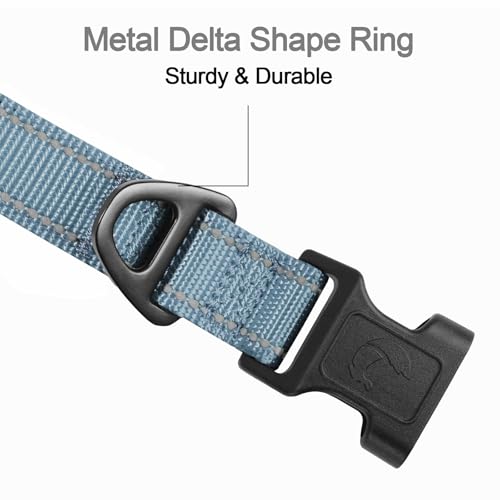 Image of Joytale Reflective Dog Collar, Adjustable Neoprene Padded, Gray S | Breathable Nylon for Small Dogs, No Chafing on Daily Walks and Training, Gentle on Neck, Secure Metal D-Ring, Night Safety