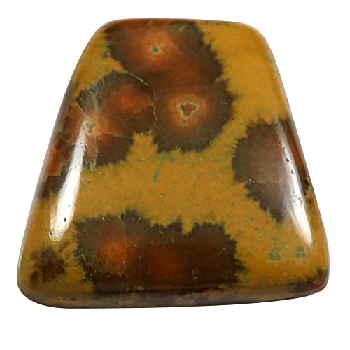 Jaspe océan fantaisie cabochon naturel vrac 16,45 carats Qm40 pierre lithothérapie