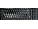 Laptop Keyboard Compatible for Asus N53 N53Jn N53Jq N53SM N53SN N53S N53NB NJ2 N61V N61D N61W N61J f55 f75 R500D R500DE R500N US Layout with Frame