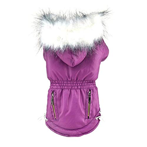 Manteau d'hiver rembourré tendance et épais pour petit chien, chihuahua, ourson Yorkie, violet, L