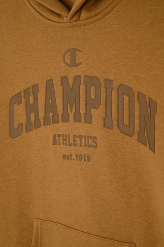 Image of Champion boys Graphic Hoodie Pullover Sweatshirt for Kids With Stylish Embellishments