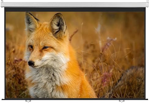 Image of Technolite 8 Ft. x 6 Ft., 120 inches Diagonal 4:3 Format, Ultra HD-3D-4K Ready Wall Type Pull Down No Autolock /Instalock Projector Screen (White) (120 Inch Diagonal 4:3 8x6 Feet)