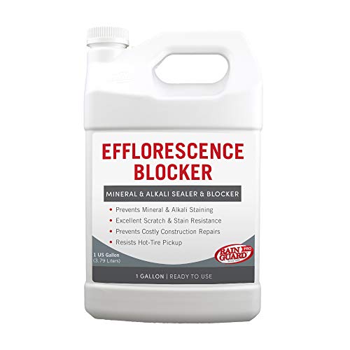 Rain Guard Water Sealers Efflorescence Blocker, 1 Gallon