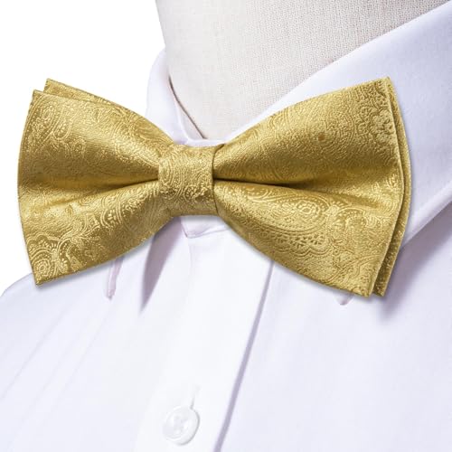 Image of Dubulle Mens Paisley Striped Bowtie Set Pre-tied Bowtie for Men and Pocket Square Set Wedding Business
