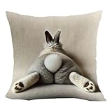 Genérico De Cojín De Pascua | Cubierta Extraíble Cómoda Decorativa De 45x45 Cm,Fundas de Cojín para Semana Santa - para Salon Dormitorio Sofa Temporada Invierno Primavera Familia