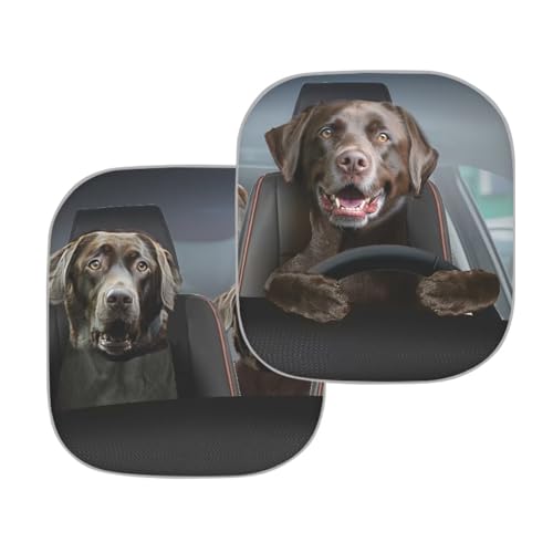 Image of Drive Puppy Car Windshield Sun Shade Foldable 2-Piece Car Windshield Sunshades Window Shades Cover Sun Visor Shield for Most Sedan Truck SUV Auto Interior Protector