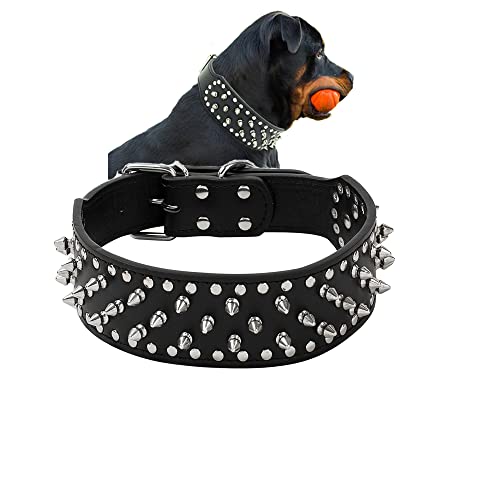10 Best Collars For Bulldogs 2023 Dog Fluffy