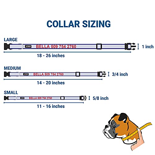 Gotags Reflective Personalized Dog Collar With Nameplate, Adjustable Dog Collar With Custom Engraved Slide On Pet Id Tag In Stainless Steel, Silent, No Noise Dog Id Tag (Blue, Large) #TOP4