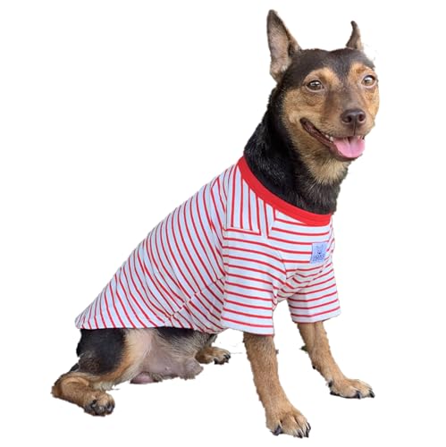 YQYS ybg TVc  XgCv Rbg TVc ^ L q  Ap ߗ eB[Jbv ` [L[ v[h   XS