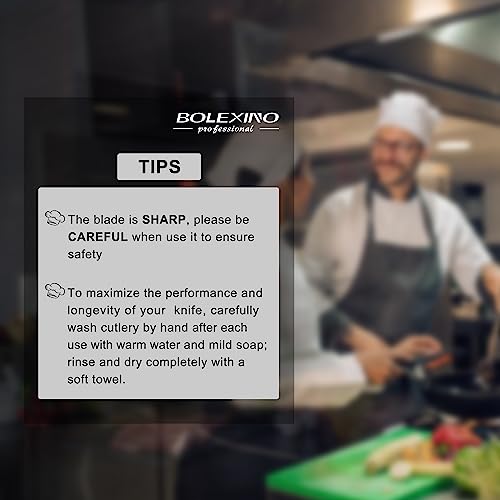 Bolexino 10 Inch Japanese High Carbon Stainless Steel Chef Knife thumb #5