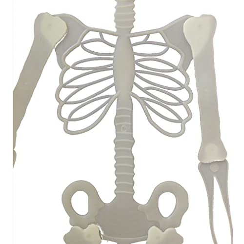 Esqueleto Neon Brilha No Escuro 90cm Festa Halloween