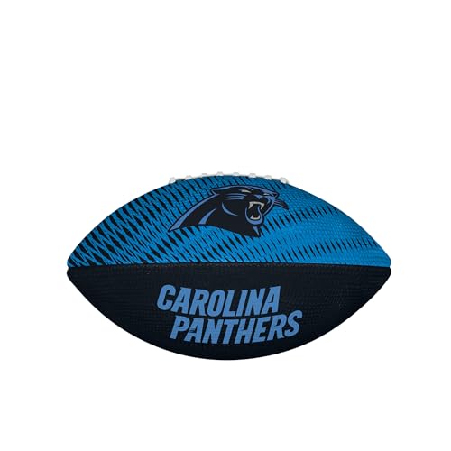 Image of WILSON Unisex NFL Team Tailgate Footballs