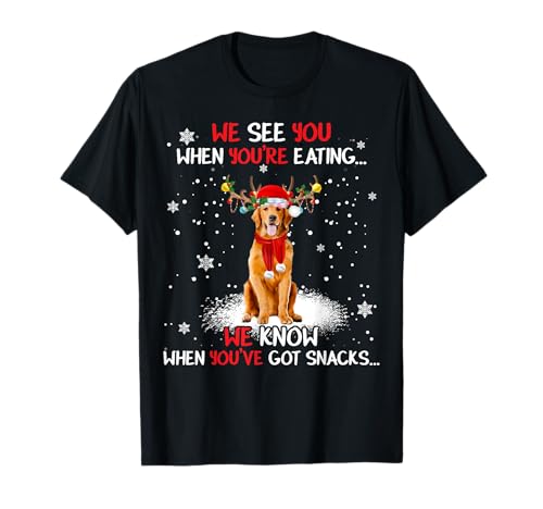 Santa Golden Retriever Reindeer Light Christmas Pajama T-Shirt