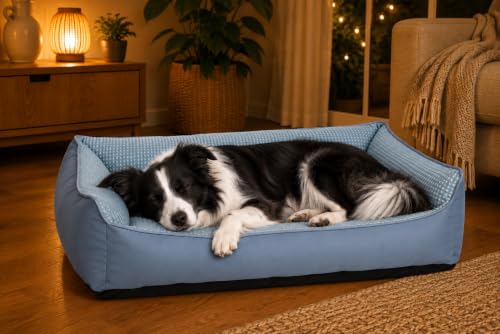 Panier Chien déhoussable et antidérapant pour grand chien Varga