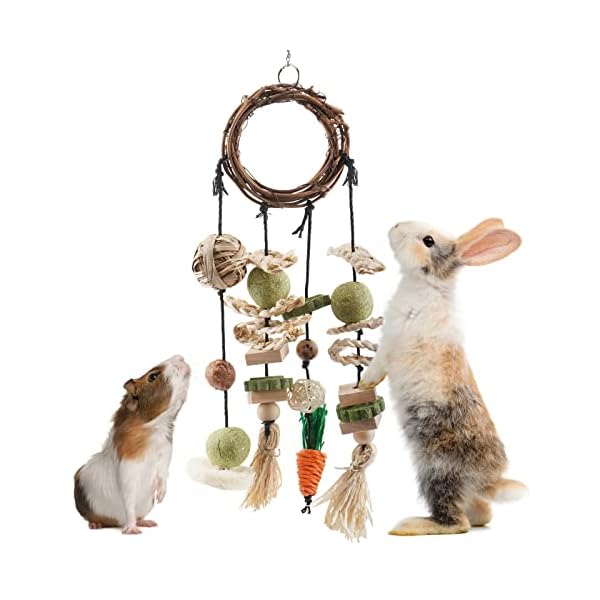 ERKOON Kaninchen Spielzeug, Rabbit Toy Kaninchenspielzeug Beschäftigung,Hasen zubehör Käfig Hängende Kauspielzeug, Hamster, Meerschweinchen