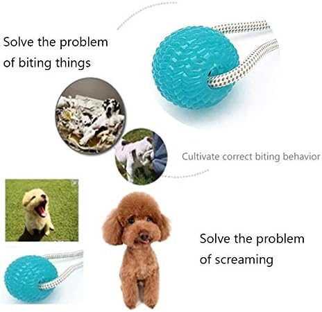 Pet Rubber Ball Toy with Suction Cup - Dog Chew Bite Rope Toy - Dog Interactive Chewing Biting Toys - Dental Care Teeth Cleaning Tools for Dogs Puppy Cats