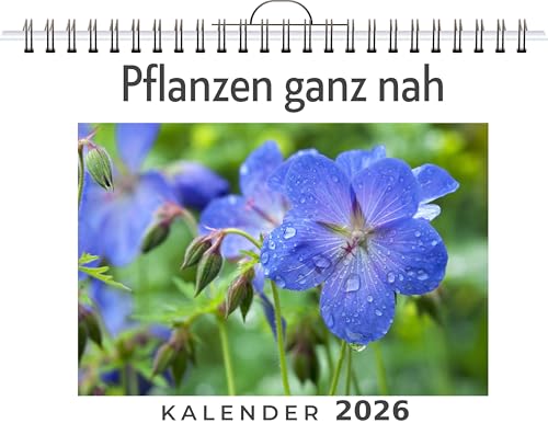 Pflanzen ganz nah: (Wandkalender 2026, Kalender DIN A4 quer, Monatskalender im Querformat mit Kalendarium, das perfekte Geschenk)