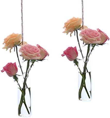 Ivolador 3PCS Lightbulb Glass Hanging Plants Terrarium Container for Hydroponic Plants Home Garden Decor - Double Hole